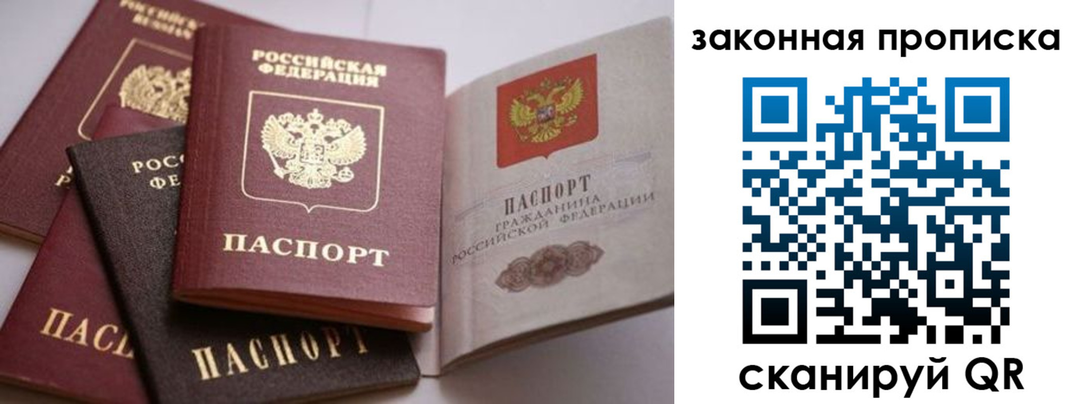 временная регистрация надежно в Коле