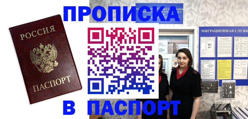 прописка 2025 в Коле